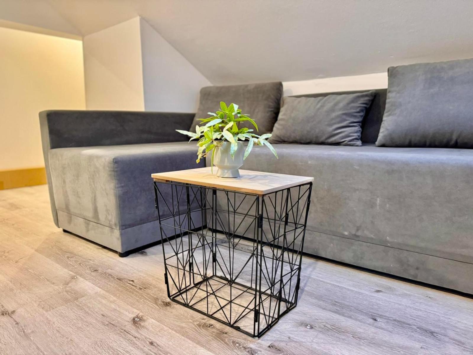 Aria Apartment Mosnje エクステリア 写真