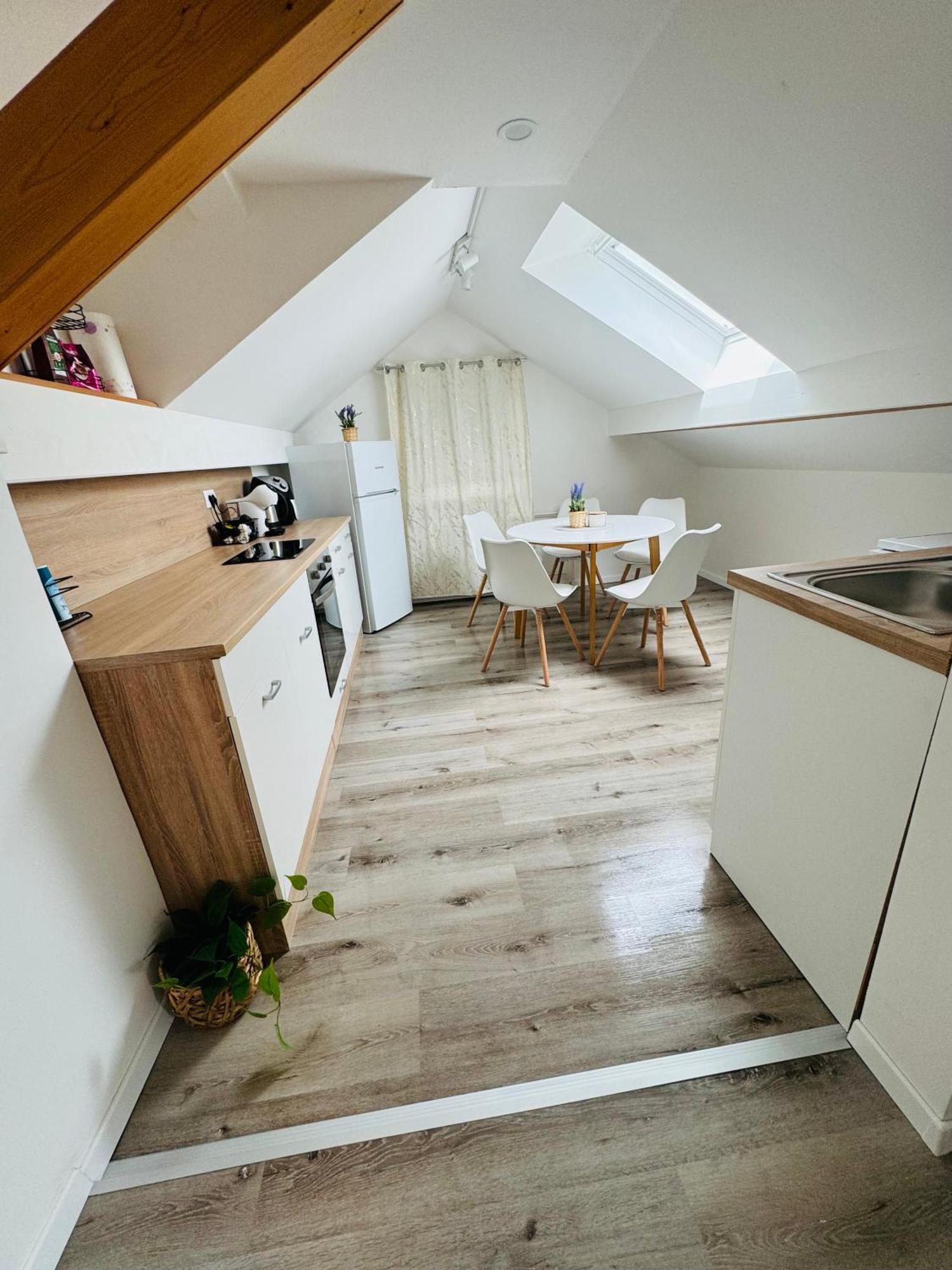 Aria Apartment Mosnje エクステリア 写真
